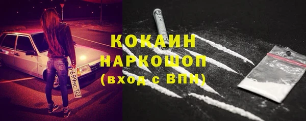сатива Осташков