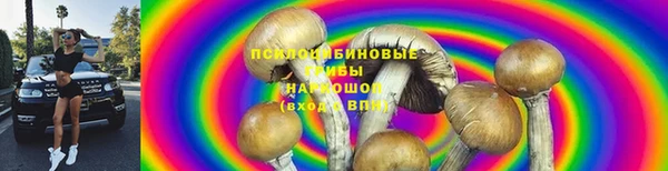 марки nbome Алексеевка