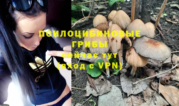 марки nbome Алексеевка