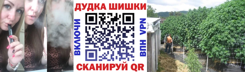 Канабис план  Сокол 
